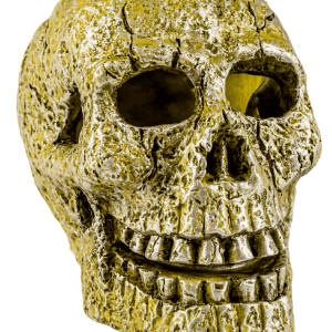 Calavera