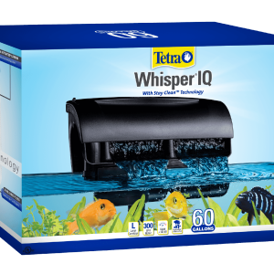 Whisper IQ 60
