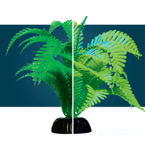 Helecho Verde