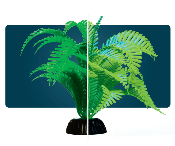 Helecho Verde