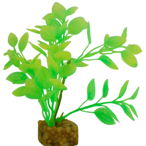 Planta Verde/Amarilla